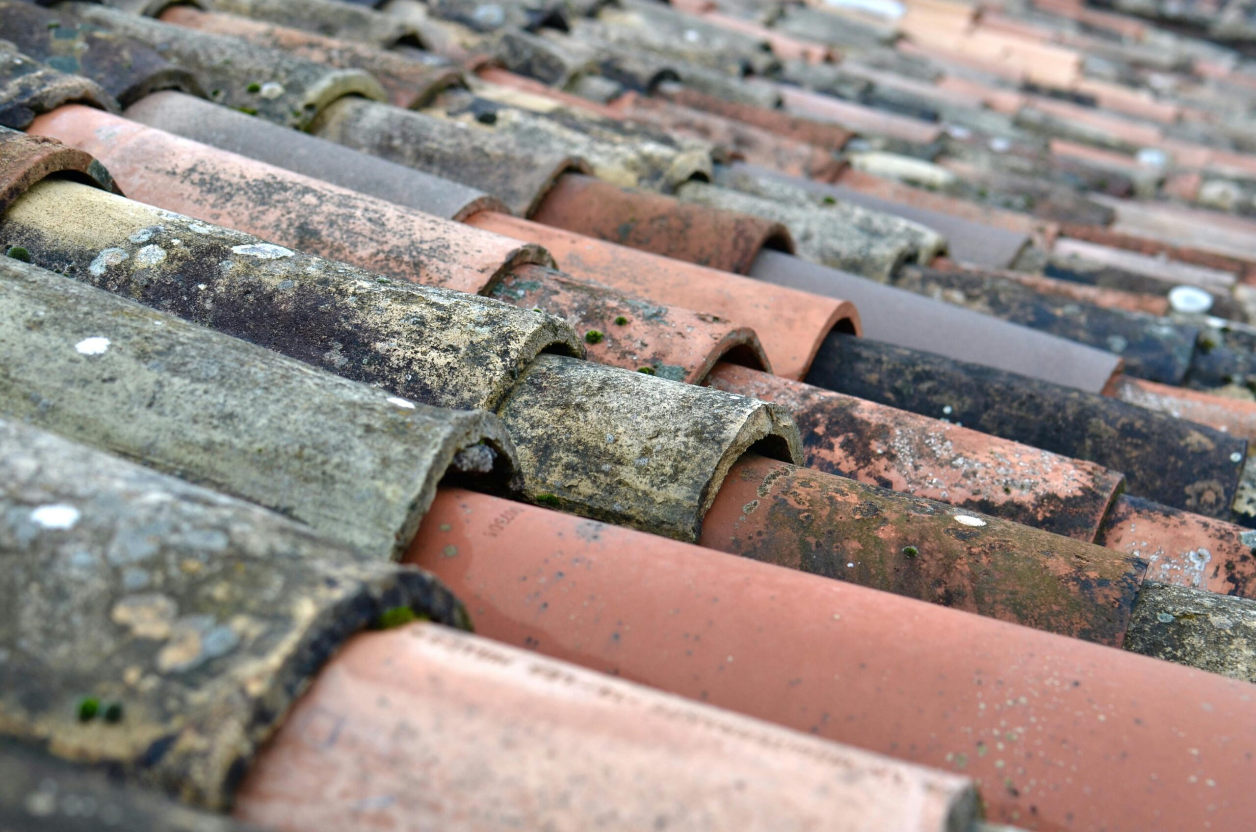 An old and moldy roof of a house.